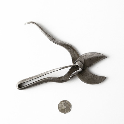 Parrot Beaked Secateurs by William Marples 