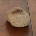 Vintage Farmyard Tethering Stone Door Stop