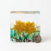 Timothy Harris Art Glass Sun Catcher Paper Weight 
