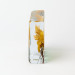 Timothy Harris Art Glass Sun Catcher Paper Weight 